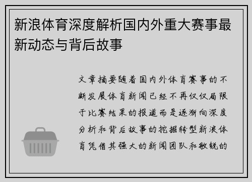 新浪体育深度解析国内外重大赛事最新动态与背后故事